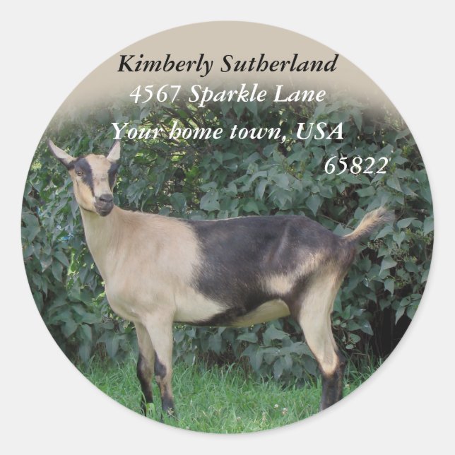 Sparkle Stickers-customize Classic Round Sticker (Front)