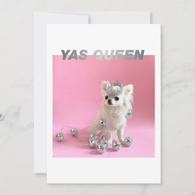 Sparkle The Tiny Chi | Dog Lover Congrats Photo Card (Front)