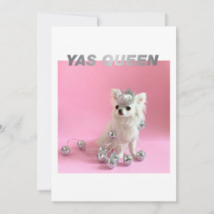 Sparkle The Tiny Chi   Dog Lover Congrats Photo Card