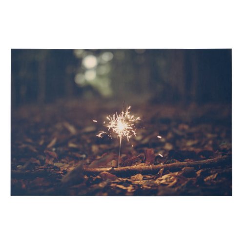 Sparkler In The Forests Leaves Canvas