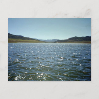 Sparkles Postcard