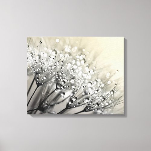 Sparkling Dew Dandelion Eggshell Background Canvas Print