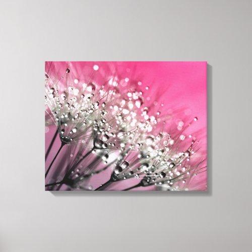 Sparkling Dew Dandelion Hot Pink Background Canvas Print