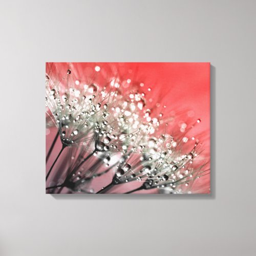 Sparkling Dew Dandelion Red Background Canvas Print