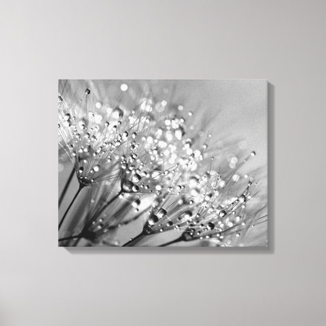 Sparkling Dew Dandelion Silver Gray Background Canvas Print (Front)