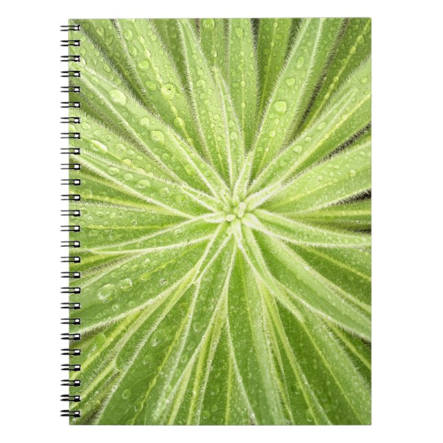 Sparkling Drops Notebook (Front)