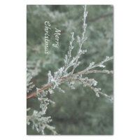 https://rlv.zcache.com/sparkling_frosty_evergreen_merry_christmas_tissue_paper-r38885b03c9f74e9487cfc71ffd603e8f_z6ltw_200.jpg?rlvnet=1