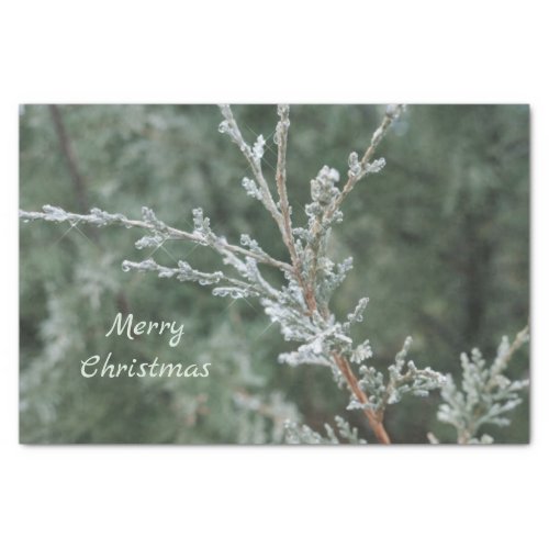 Sparkling Frosty Evergreen Merry Christmas  Tissue Paper