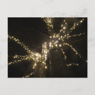Sparkling Outdoor Tree Lights DIY Postcard