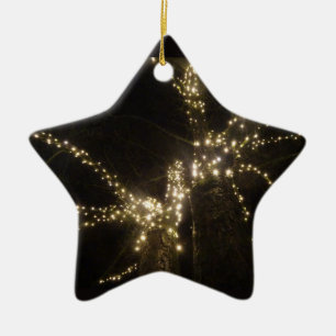 Sparkling Outdoor Tree Lights Star Ornament