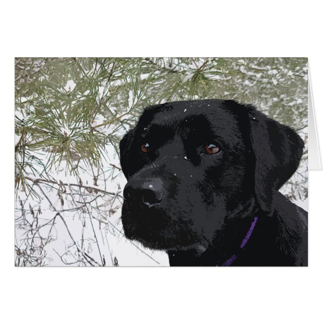 Sparkling Pines - Snow Labrador - Black Lab Cards (Front Horizontal)