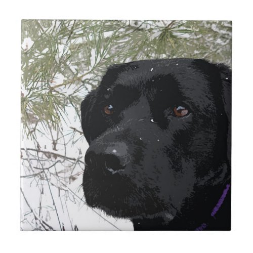 Sparkling Pines _ Snow Labrador _ Black Lab Tile