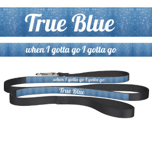 Sparkling Raindrops on Blue Humorous Wet Look Pet Leash