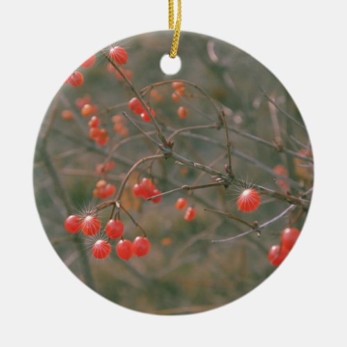 Sparkling Red Berries Nature Photo  Ceramic Ornament