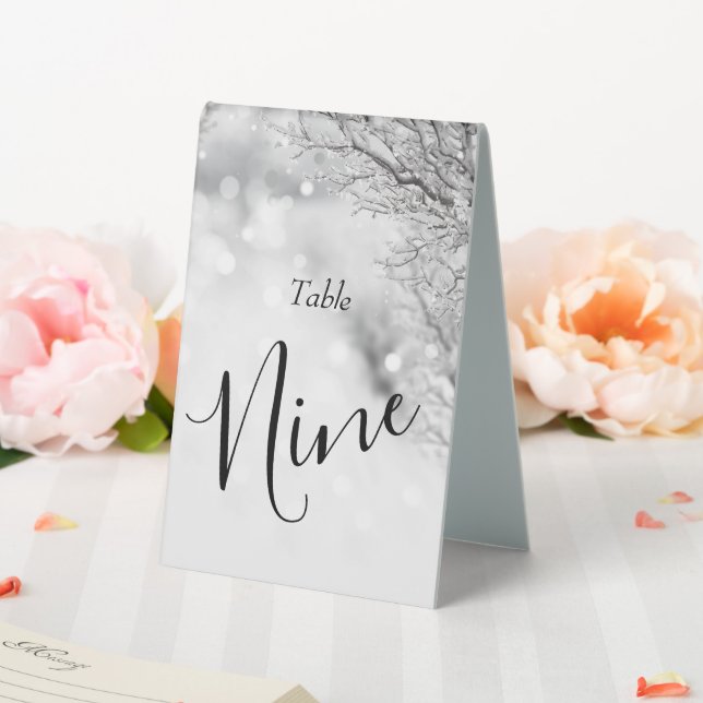 Sparkling Snow and Ice Winter Wedding Table Tent (In SItu (Wedding))