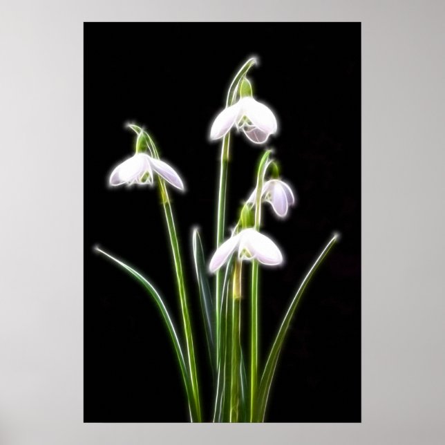 Sparkling Snowdrops print (Front)