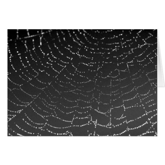 Sparkling Spiderweb Cards (Front Horizontal)