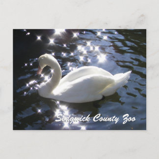 Sparkling Swan Postcard