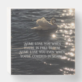 Sparkling Swan Quote Wooden Box Sign