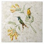 Sparkling Tailed Hummingbird Ceramic Tile<br><div class="desc">Ceramic tile with a vintage illustration of the Sparkling-tailed Hummingbird (Tilmatura dupontii.) Two green hummingbirds,  one with a blue throat and the other with a bright yellow chest,  rest on a yellow orange trumpet vine,  with a light gold marble pattern background.</div>
