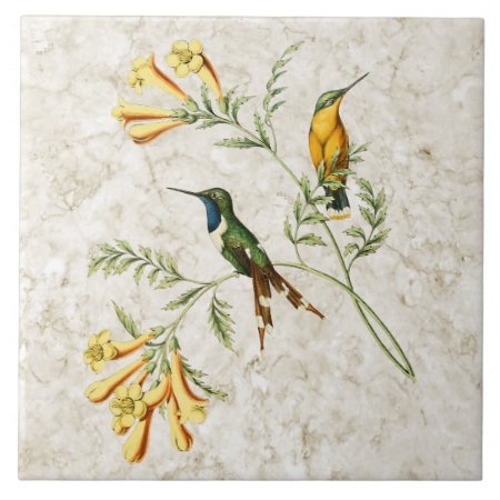 Sparkling Tailed Hummingbird Ceramic Tile
