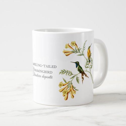 Sparkling Tailed Hummingbird Jumbo Mug