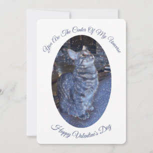 Sparkling Universe Cat Photo Valentines Day Holiday Card