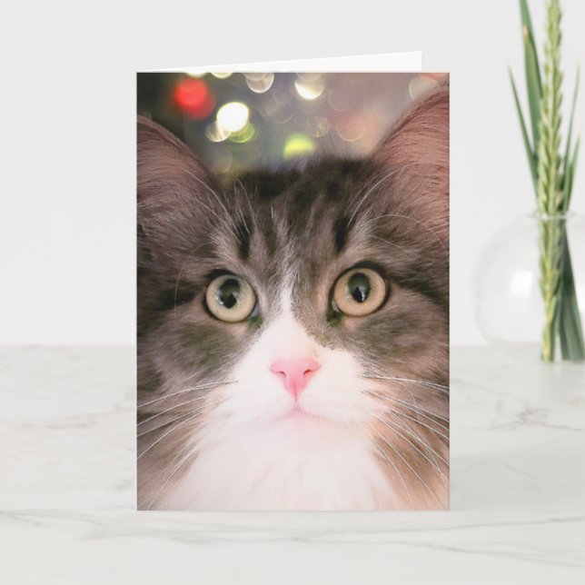 Sparkling Wishes for Christmas (Christmas Card) Holiday Card (Front)