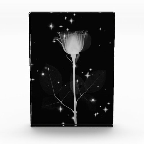 Sparkling X_Ray Flower _ BW Acrylic Award