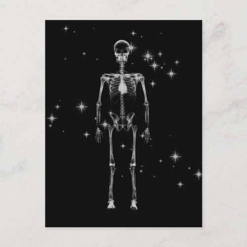 Sparkling X_Ray Skeleton _ BW Postcard
