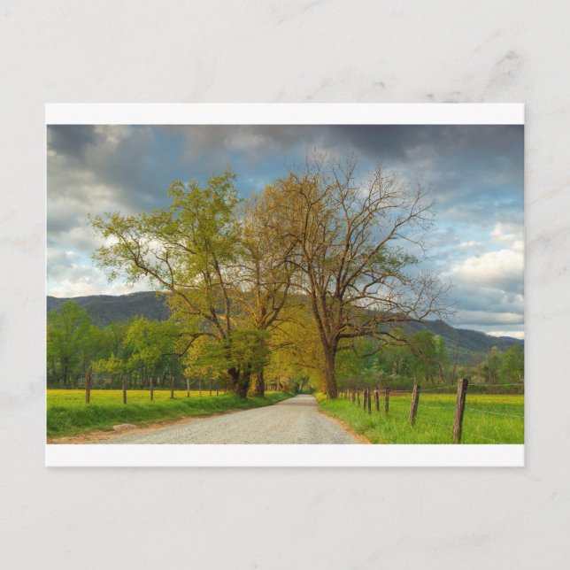 Sparks Lane Cades Cove Postcard (Front)