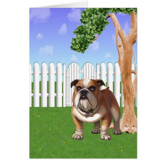 Sparky Cards (Front)