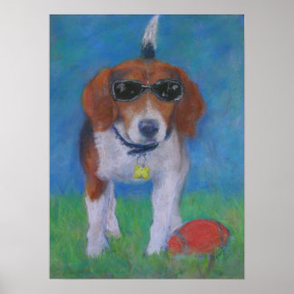 Sparky Dog: Looking Cool poster