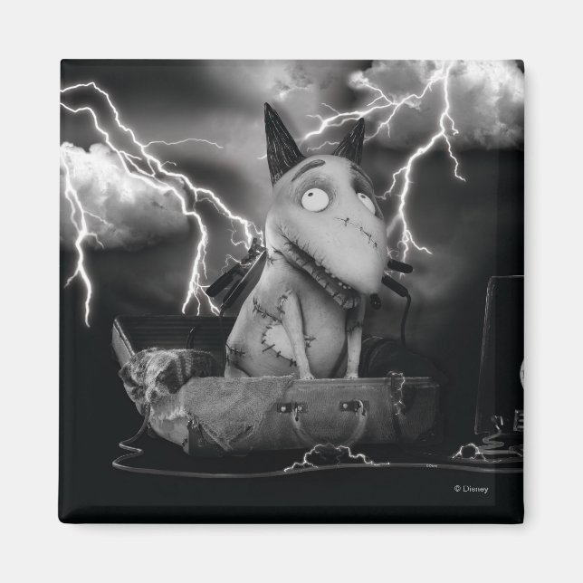 Sparky Magnet (Front)