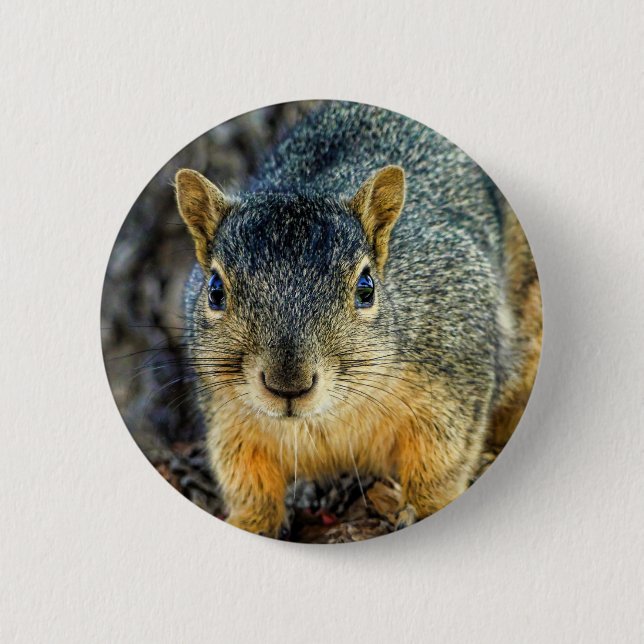 Sparky the Squirrel Button (Front)