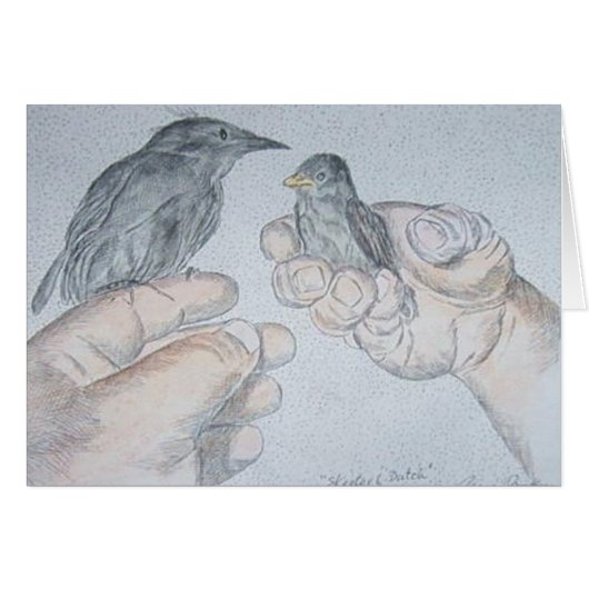 sparow and starling (Front Horizontal)
