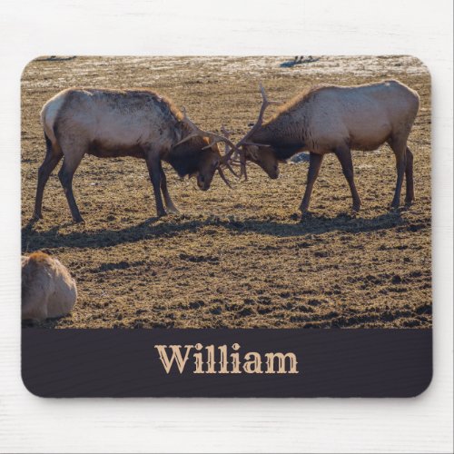 Sparring Bull Elk Custom Name Mouse Pad