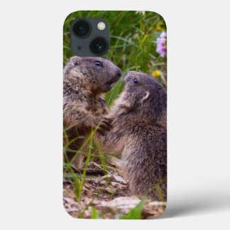 Sparring Partners iPad Case