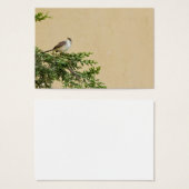 Sparrow (Front & Back)