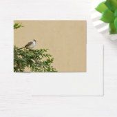 Sparrow (Desk)