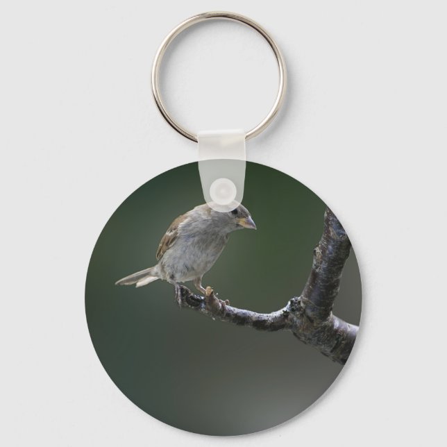 Sparrow  1 keychain (Front)