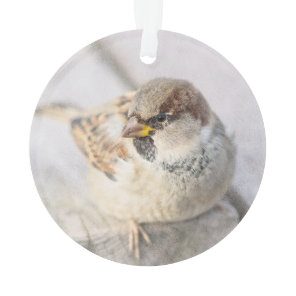 Sparrow - After The Transatlantic Ornament