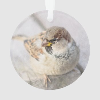 Sparrow - After The Transatlantic Ornament by DigitalSolutions2u at Zazzle