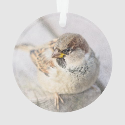 Sparrow _ After The Transatlantic Ornament