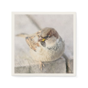 Sparrow - After The Transatlantic Paper Napkins