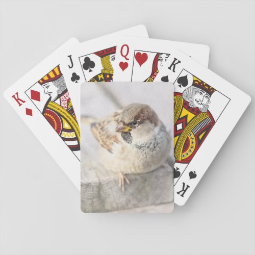 Sparrow _ After The Transatlantic Poker Cards