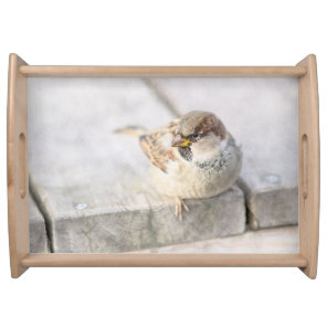 Sparrow - After The Transatlantic Serving Tray