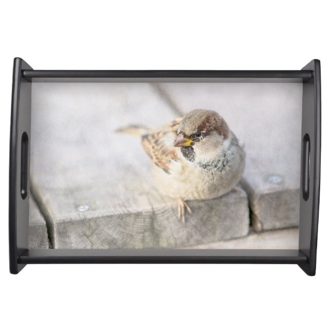 Sparrow - After The Transatlantic Serving Tray (Front)