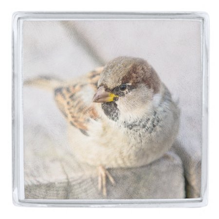 Sparrow - After The Transatlantic Silver Finish Lapel Pin