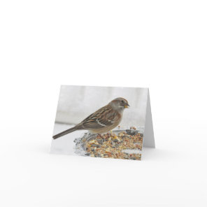 Sparrow and Silver Platter - Blank Card